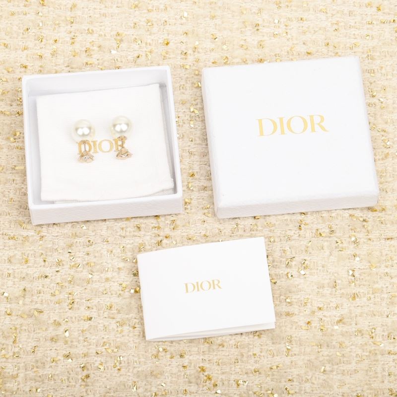 Christian Dior Earrings